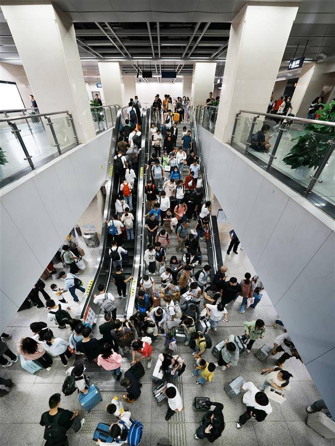 大乐透大赢家软件